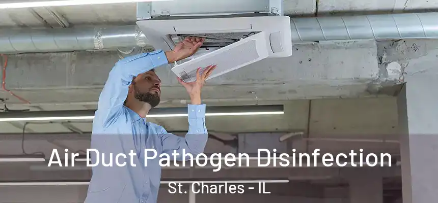 Air Duct Pathogen Disinfection St. Charles - IL