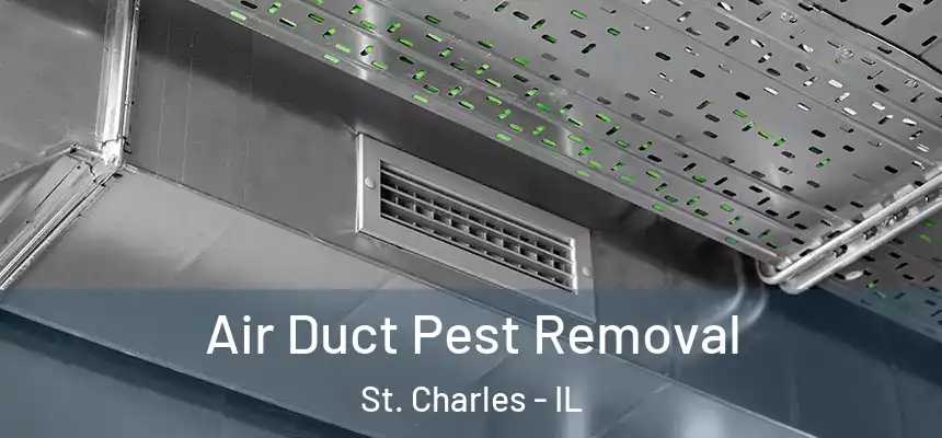 Air Duct Pest Removal St. Charles - IL