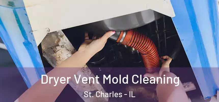  Dryer Vent Mold Cleaning St. Charles - IL