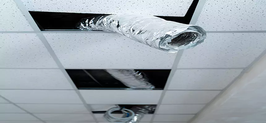 Our Air Duct Pet Hair Removal Services in St. Charles, IL