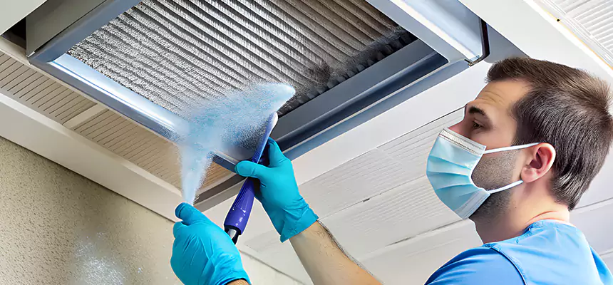 Proactive Dryer Vent & Auxiliary Duct Pollen Cleanup in St. Charles, IL
