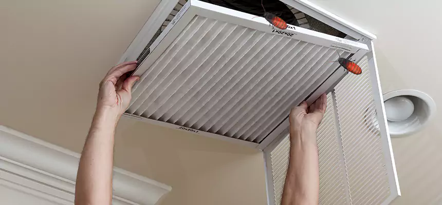 Our Insect Removal from Air Ducts Services in St. Charles, IL