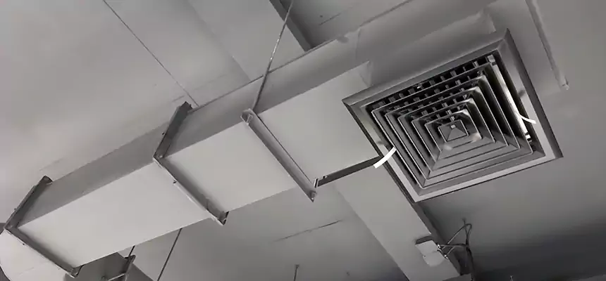 Our Pest Removal From Ducts Services in St. Charles, IL