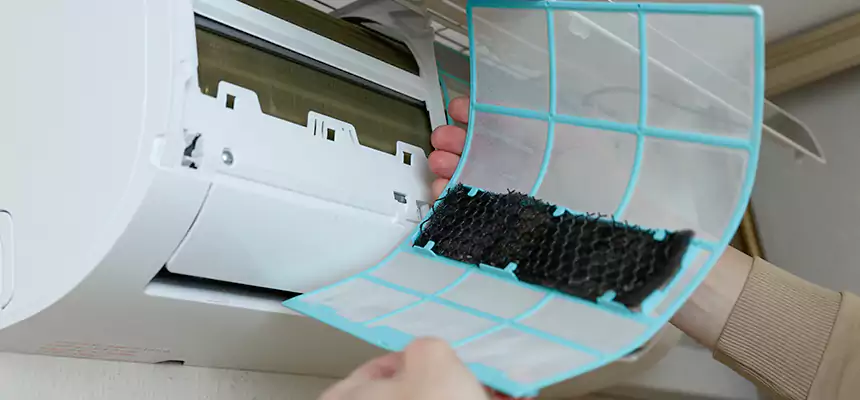 Gentle Ductwork Odor-Control Pet Dander Duct Cleaning in St. Charles, IL