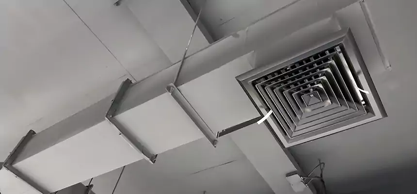 Our Rodent Droppings In Vents Services in St. Charles, IL