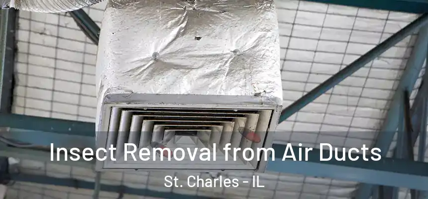  Insect Removal from Air Ducts St. Charles - IL