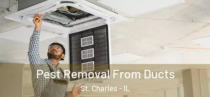  Pest Removal From Ducts St. Charles - IL