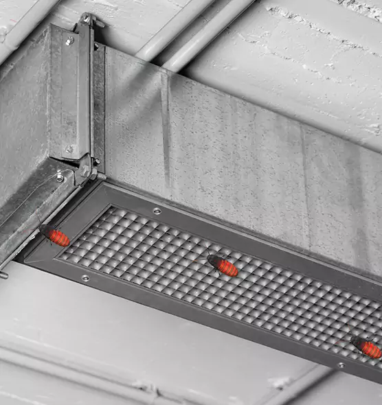 About Air Duct Cockroach Removal in St. Charles, IL