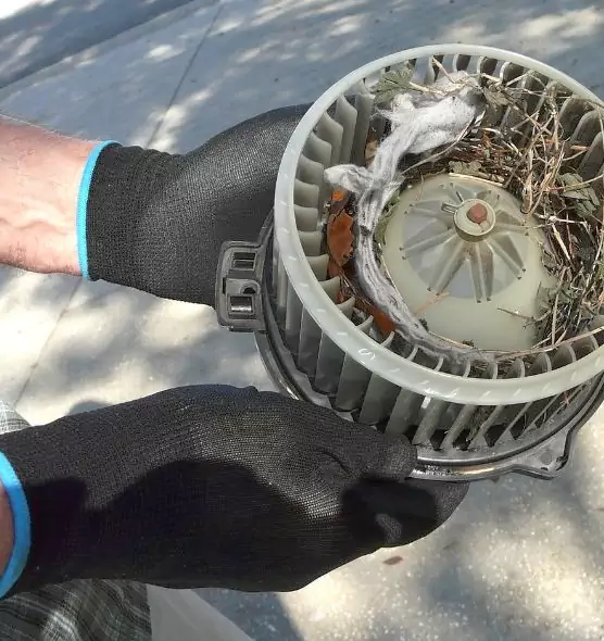 About Air Duct Mice Removal in St. Charles, IL