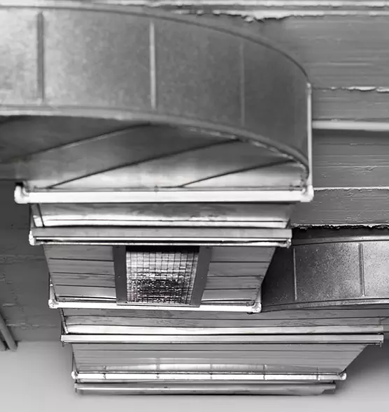 Professional Air Duct Pet Hair Removal in St. Charles, IL