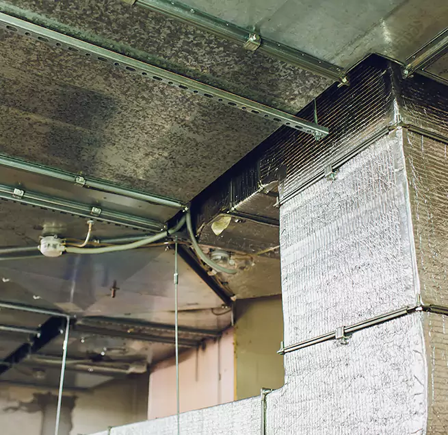 Why Homeowners & Businesses Trust Us in St. Charles, IL?